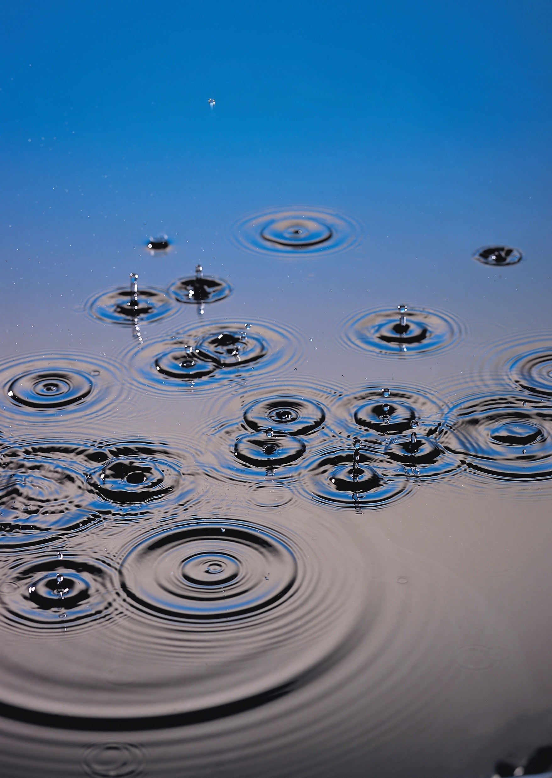Subsidie voor een regenton? Geld met water!